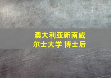 澳大利亚新南威尔士大学 博士后